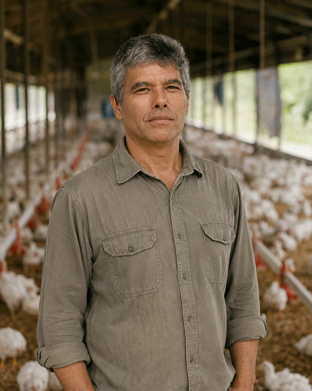 Dr. Marcelo Dias da Silva em pé dentro de um galpão de frango de corte